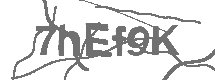 CAPTCHA Image