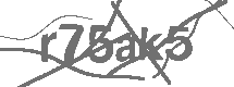 CAPTCHA Image