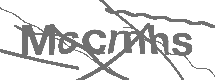 CAPTCHA Image