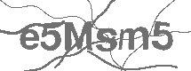 CAPTCHA Image