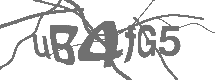 CAPTCHA Image
