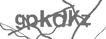 CAPTCHA Image