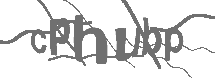 CAPTCHA Image