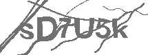 CAPTCHA Image