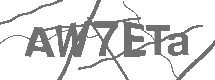 CAPTCHA Image