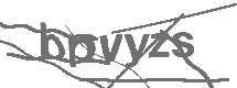 CAPTCHA Image