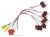 C00381871 481231028168 Adapterkabel Mulde neu
