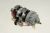Ac Motor    ,következö készülékhez illikAGB646WP 4151000000