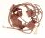 49027281 IGNIT. MICROSWITCH CHAIN