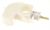 7312872269 FILTER BAUGRUPPE