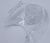 423902179182 FILLING DOOR ASSY CLEAR