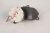 C015550028800 SEITENBÜRSTENMOTOR-MI ROBOT VACUUM MOP2PRO